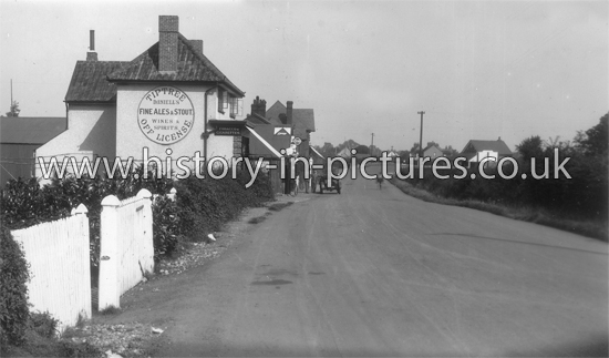 Maldon Road, Tiptree, Essex. c.1920's